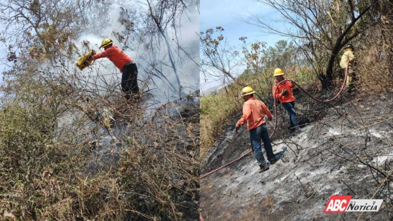 Avanza Gobierno de Nayarit en combate del incendio forestal en el Ejido El Tecolote