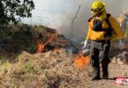 Concluye con éxito quema prescrita en el cerro de Sangangüey