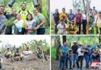 Gobierno de Tepic reforesta el cerro de San Juan con miles de árboles