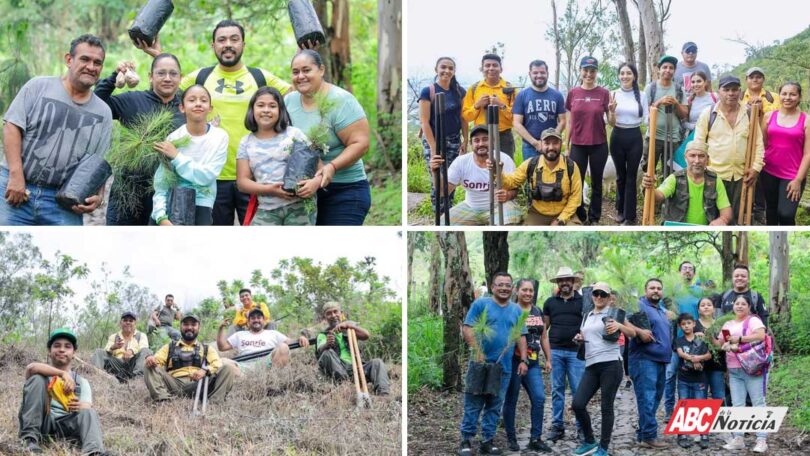 Gobierno de Tepic reforesta el cerro de San Juan con miles de árboles