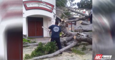 Bomberos de Nayarit retiran un árbol que cayera en el parque La Loma de Tepic