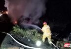 Bomberos de Nayarit sofocan incendio de un trailer en la Federal 15