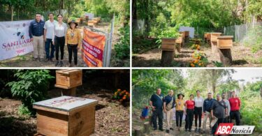 Gobierno de Geraldine cuida el medio ambiente con santuario para abejas