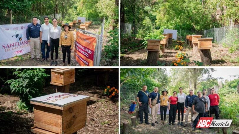 Gobierno de Geraldine cuida el medio ambiente con santuario para abejas