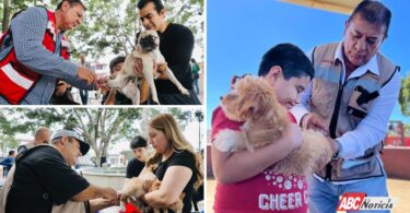 Gobierno de Geraldine vacunó a más de 750 mascotas en la Expo Joven