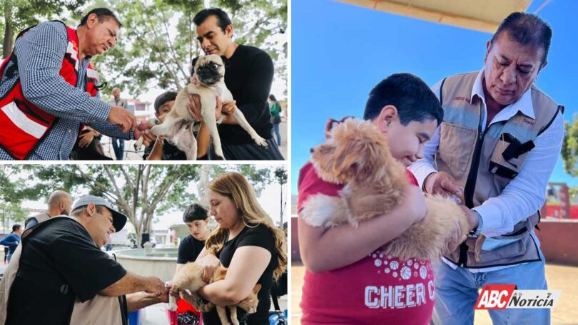 Gobierno de Geraldine vacunó a más de 750 mascotas en la Expo Joven