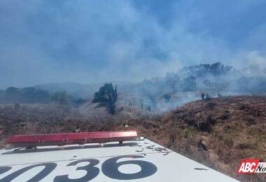 Sofocan Bomberos de Nayarit incendio de pastizal en el municipio de Compostela