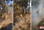 Combate coordinado entre los gobiernos estatal y federal logra extinción de incendio forestal