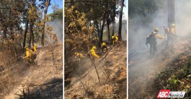 Combate coordinado entre los gobiernos estatal y federal logra extinción de incendio forestal