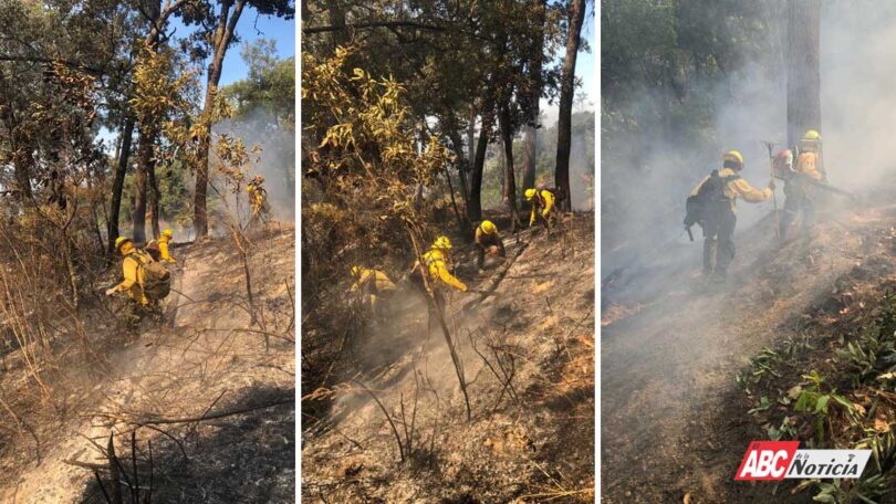 Combate coordinado entre los gobiernos estatal y federal logra extinción de incendio forestal