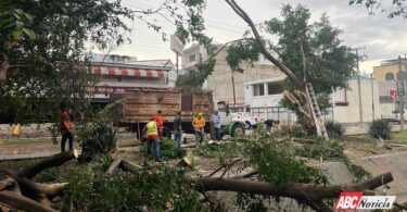 Reacción inmediata del Gobierno de Tepic tras la fuerte tormenta de hoy