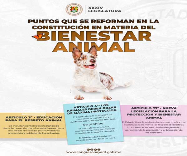 Banner-Campana-Bienestar-Animal.jpg