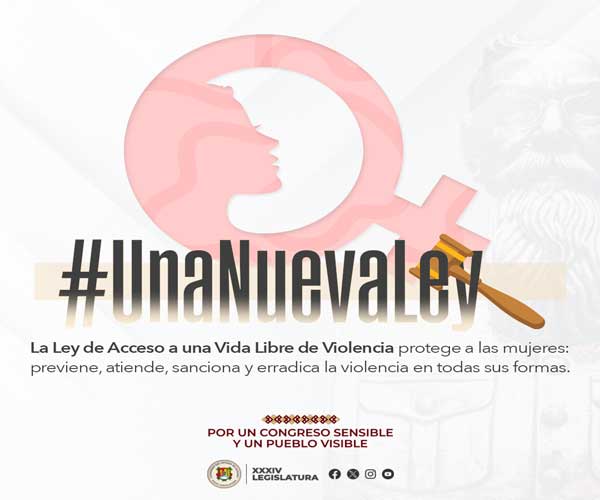 Banner-CampanaNueva-Ley-Mujeres-4jun.jpg