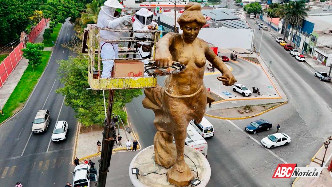 Rescatan más de 80 mil abejas del Ángel de la Independencia por instrucción de Geraldine Ponce