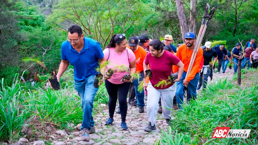 Continúan las jornadas de reforestación en el Cerro de San Juan