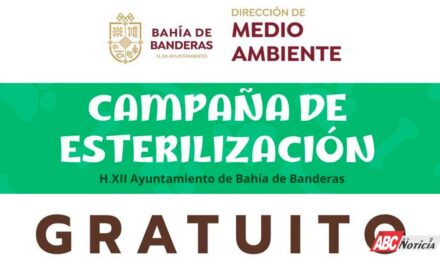 Arrancará Campaña de Esterilización Gratuita en Bahía de Banderas