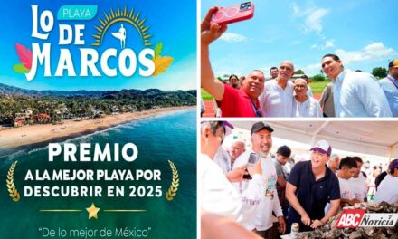 Dimensión Política