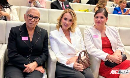 DIMENSIÓN POLÍTICA