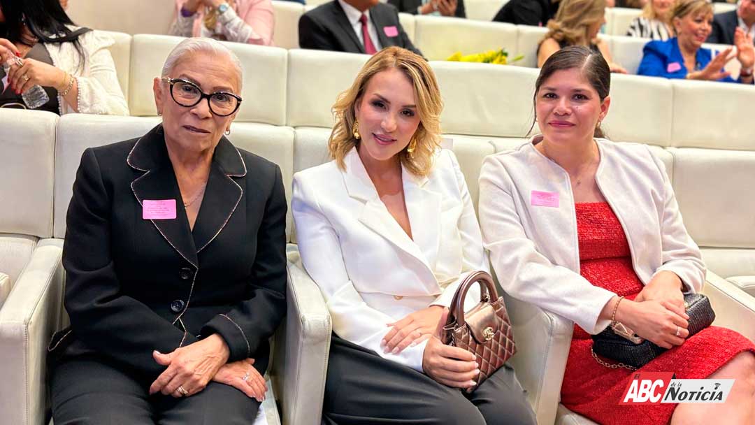 DIMENSIÓN POLÍTICA