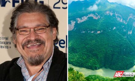 Dimensión Política