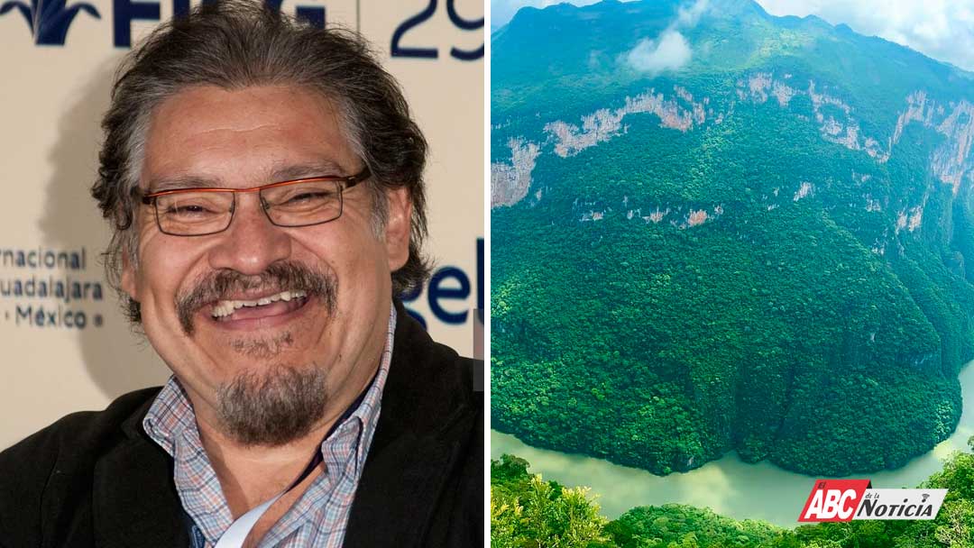 Dimensión Política