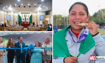 Dimensión Política