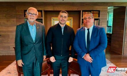 Dimensión Política