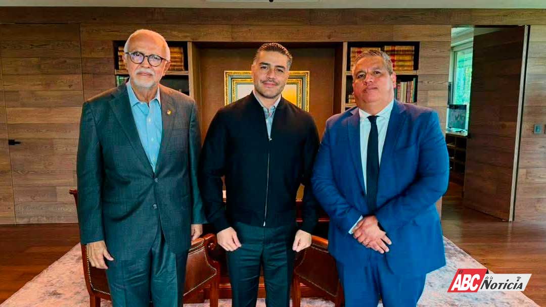 Dimensión Política