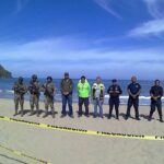 Concluye Gobierno de Nayarit y Federal operativo por la estancia del elefante marino en playas de Nayarit