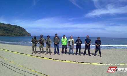 Concluye Gobierno de Nayarit y Federal operativo por la estancia del elefante marino en playas de Nayarit