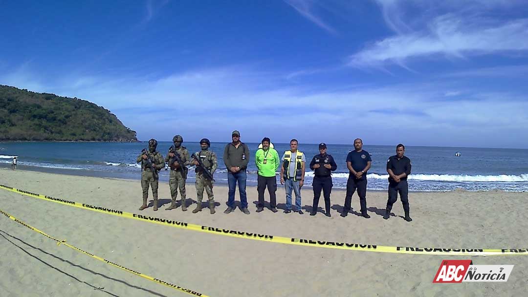 Concluye Gobierno de Nayarit y Federal operativo por la estancia del elefante marino en playas de Nayarit