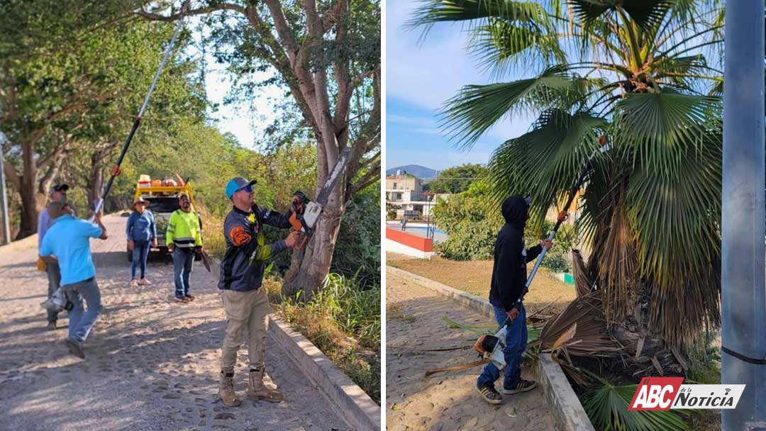 Realizan trabajos de poda y mantenimiento en el Malecón de la Cabecera Municipal