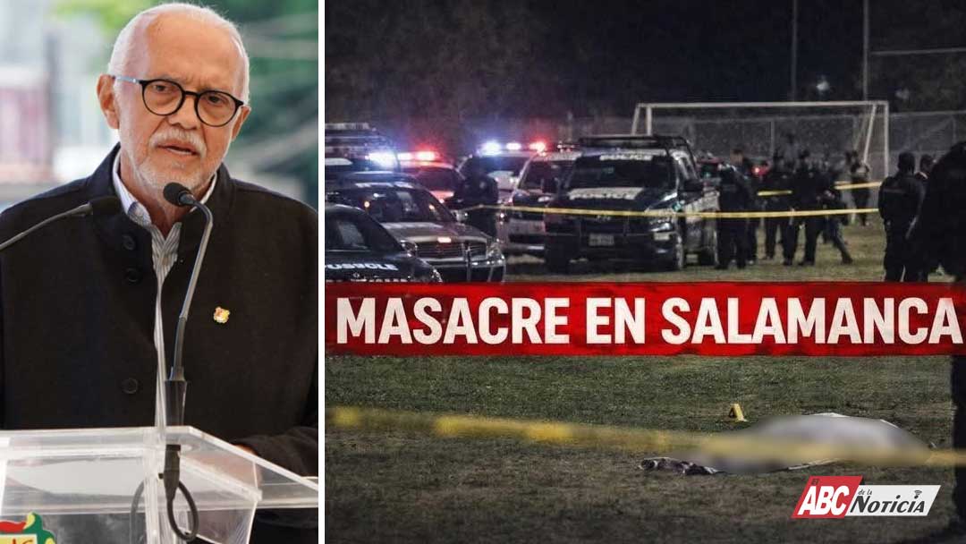 Dimensión Política