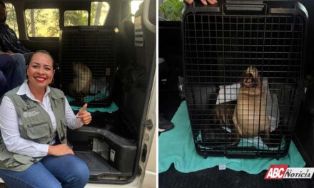 Héctor Santana apoya la cirugía de “Marquitos” en Guadalajara