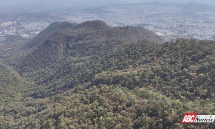 Coordinación entre Gobierno de Nayarit, Federación y municipios controla incendios forestales en la entidad