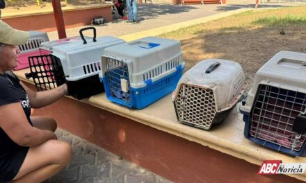 Exitosa jornada de Esterilización en Mezcales