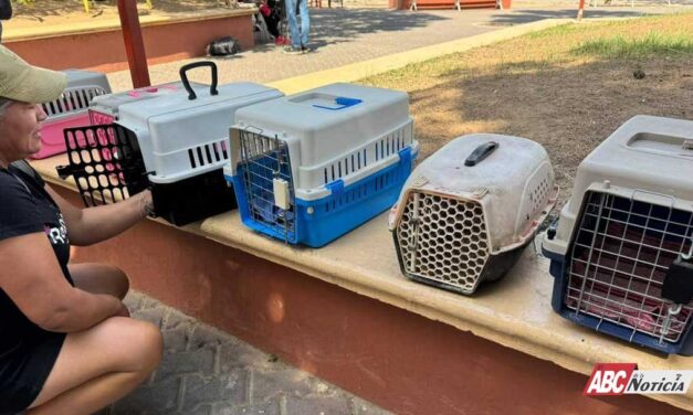 Exitosa jornada de Esterilización en Mezcales