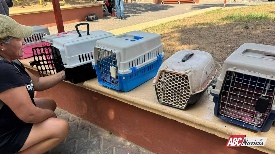 Exitosa jornada de Esterilización en Mezcales