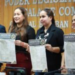 Prepara Congreso mayor defensa legal para víctimas de abuso y violencia vicaria