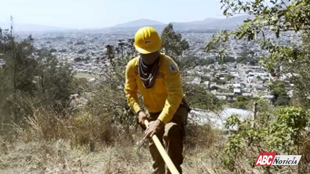 Guarda raya en el Cerro de la Cruz