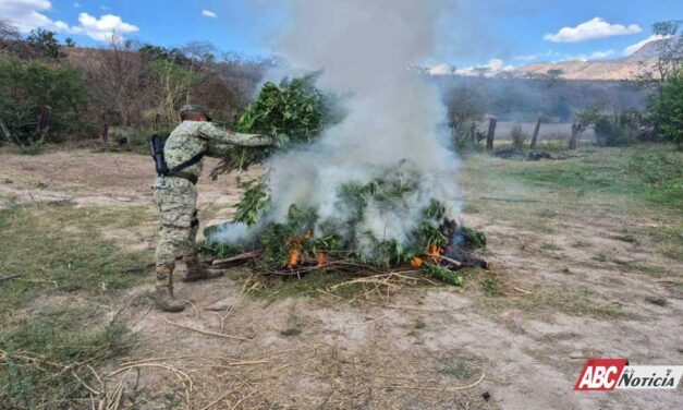 Acciones operativas reportan avances en seguridad en Nayarit
