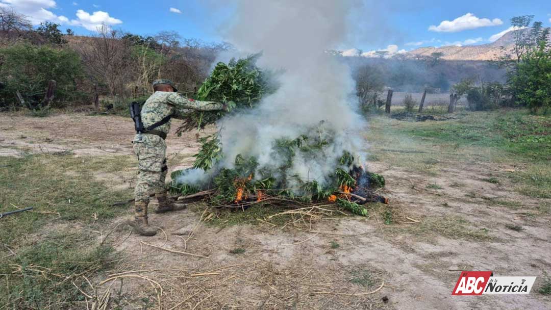 Acciones operativas reportan avances en seguridad en Nayarit