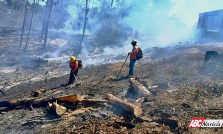 COFONAY atiende y controla conato de incendio en el cerro de San Juan, en Xalisco