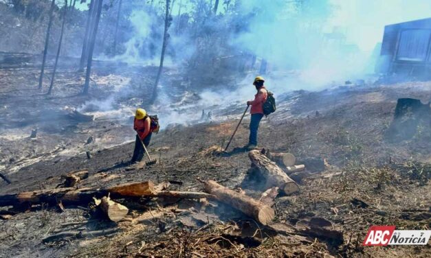 COFONAY atiende y controla conato de incendio en el cerro de San Juan, en Xalisco