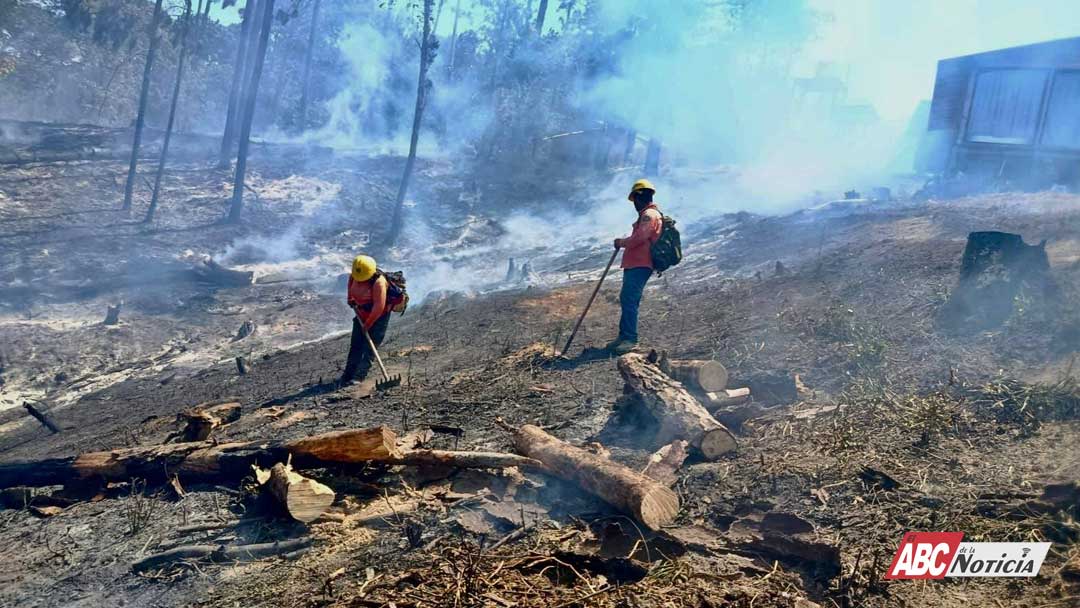 COFONAY atiende y controla conato de incendio en el cerro de San Juan, en Xalisco