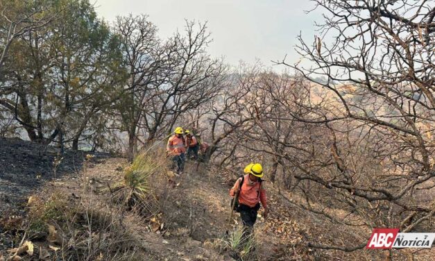 Continúan labores de control y liquidación de incendio en el Cerro El Vigía, en La Yesca