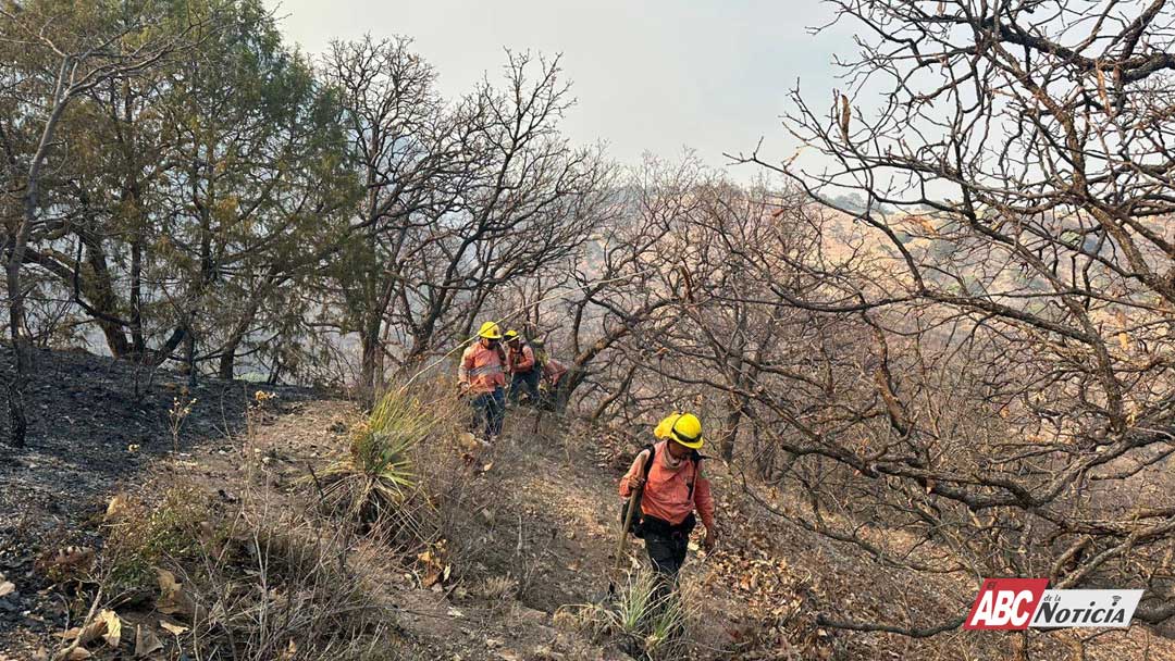 Continúan labores de control y liquidación de incendio en el Cerro El Vigía, en La Yesca