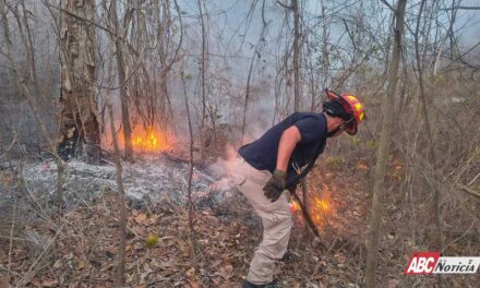 Incendio en La Cruz de Huanacaxtle se encuentra Controlado: Lucero Rodríguez