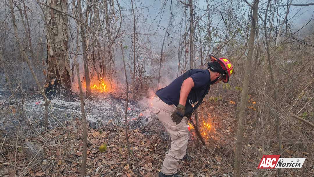 Incendio en La Cruz de Huanacaxtle se encuentra Controlado: Lucero Rodríguez