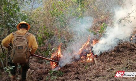 Prevención de incendios forestales: tarea de todas y todos